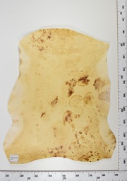 [22-0001-14-002] Cordero Envejecido ID002