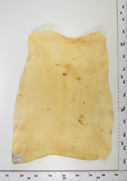 [22-0001-14-022] Cordero Envejecido ID022