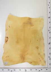 [22-0001-14-024] Cordero Envejecido ID024