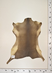 [22-0001-17-008] Cordero Negro ID008