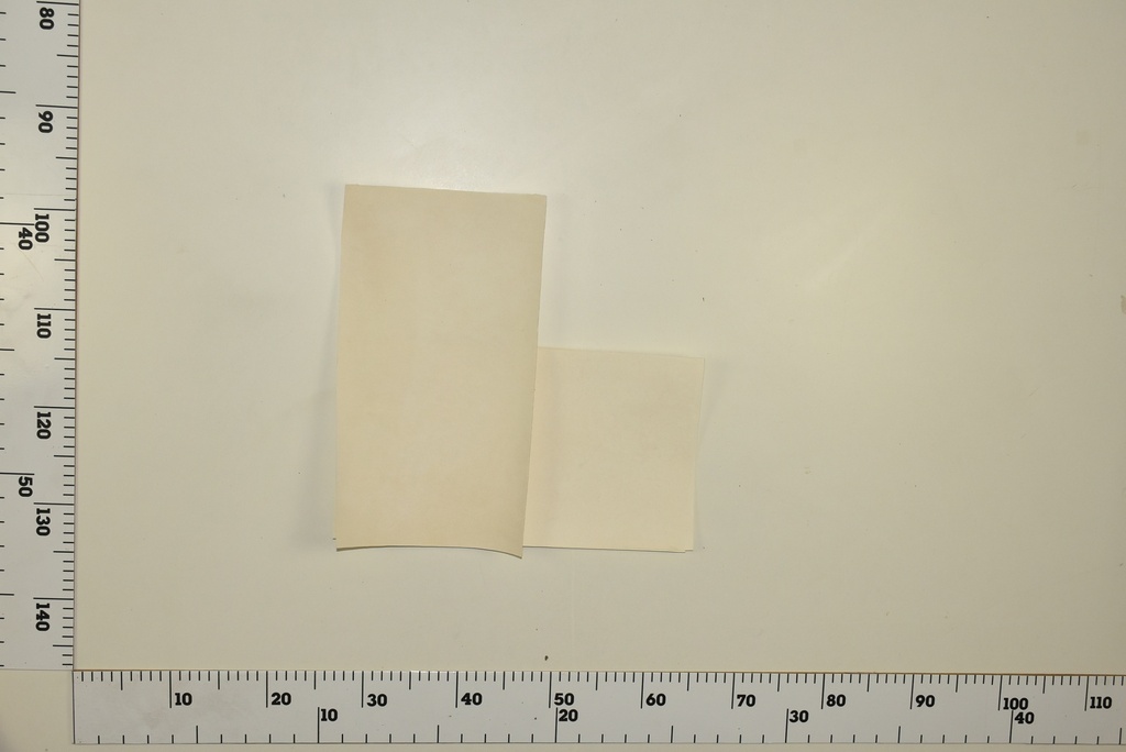 Sheep sheet 37 X 21 with epidermis